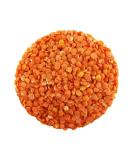 Organic Red Lentils 2.5kg (BWFO) - Buy Online on GoSupps.com