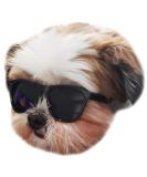 80s Style Pet Sunglasses for Small Dogs (Black) - Up to 15lbs - Buy Online on GoSupps.com