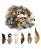 180pcs Natural Feathers Assorted for Dream Catcher Crafts - 6 Styles/180 Pcs - Buy Online on GoSupps.com