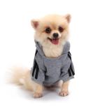 Buy Cute Gray Dog Hoodie Coat - Warm Cotton Sweater for Puppies & Cats | XS Size - International Shipping - Buy Online on GoSupps.com