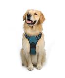 Rabbitgoo Dog Harness for Medium & Large Dogs - No Pull Breathable Control Harness with Reflective Stripes - Dark Green XL (1 Pack) - Buy Online on GoSupps.com