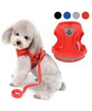 Zunea No Pull Dog Harness for Small Dog Reflective Breathable Soft Mesh Padded Step-in Vest Harness Leash Set Puppy Girl Dog Cat Lead for Daily Walking Running Training - (Red S) S (Pack of 1) red - Buy Online on GoSupps.com