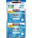 Kirkland Signature Quit Ice Mint Gum 2mg  300 Pieces - Buy Online on GoSupps.com