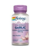 Solaray Enteric Coated Garlic 500mg - 60 Veggie Capsules for Heart Health - Buy Online on GoSupps.com