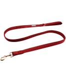 Lionet Paws Dog Leash - Silk Leash for Small Medium Large Dogs Matching Collars for Girls and Boys M Leash (Pack of 1) Red - Buy Online on GoSupps.com
