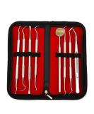 Tooth Cleaning Kit - 8pcs Stainless Steel Oral Care Tools | Dental Probe Scraper & Stains Remover - Buy Online on GoSupps.com