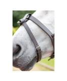 Shires Velociti GARA Flash Strap Havana Cob - Buy Online on GoSupps.com