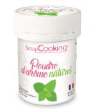 Natural Food flavouring Powder 15 g - Mint - Buy Online on GoSupps.com