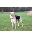 Trixie 28833 Black Backpack L - 29 x 15 cm | Durable & Stylish Travel Companion for Pets - Buy Online on GoSupps.com