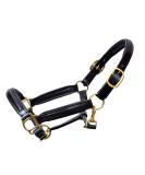 Aces Equine LEATHER HORSE HEADCOLLAR HALTER FULLY RAISED AND PADDED BLACK COLOR BRASS FITTING COB - Buy Online on GoSupps.com