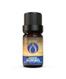 Ecodrop German Chamomile Essential Oil 5ml - 100% Natural Therapeutic Grade Matricaria Chamomilla Oil | Organic Aromatherapy for Relaxation & Skincare - Buy Online on GoSupps.com