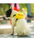 Buy Purime Multifunctional Dog Harness Set with Leash Perfect for Hiking & Camping Small Dogs Yellow (M) - Buy Online on GoSupps.com