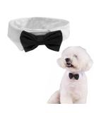 Buy SUNTRADE Adjustable Formal Pet Bow Tie for Dogs & Cats - Wedding Costume (Small Black) - International Shipping Available - Buy Online on GoSupps.com