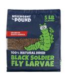 5 lbs North American Grown Dried Black Soldier Fly Larva - High Calcium Treats for Chickens, Wild Birds, and Reptiles - Buy Online on GoSupps.com