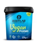 Buy BODYLAB24 Vegan Protein Cinnamon Snail 1000g | 100% Vegan Protein Powder | 80g Protein per 100g | Ideal for Muscle Building Shop Internationally! - Buy Online on GoSupps.com