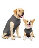 Heywean Hundebody after op castration wound protection suits for dogs professional pet recovery Suit Hund Medical Shirt Body Suit After the Operation Dog pet surge suit for dogs L (pack with 1) gray - Buy Online on GoSupps.com