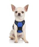 Rabbitgoo Adjustable Dog Harness for Small Dogs - No Pull Control Breast Harness with Reflex Stripes Breathable Design - XS Blue (1 Pack) - Buy Online on GoSupps.com