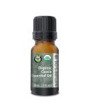 Buy Nature's Oil 10ml Certified Organic Cassia Essential Oil - Pure Therapeutic Grade for International Shipping - Buy Online on GoSupps.com