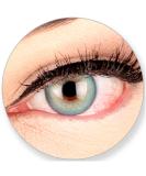 Buy GlamLens Elly Blue Silicone Comfort Soft Contact Lenses - 2 Colored Blue 3-Month Wear Perfect for Dark Brown Eyes - No Prescription Required - Buy Online on GoSupps.com