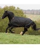 Buy Kerbl Bucas Irish Turnout Horse Blanket Light 50g - 130 SW/Gold Black/Gold - International Shipping Available - Buy Online on GoSupps.com