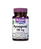 Bluebonnet Nutrition Pycnogenol 100mg - Natural Antioxidant Supplement - Buy Online on GoSupps.com