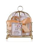 Accentra Honey Jasmine Shower Set | Wellness Gift Set for Women - Shower Gel Body Lotion & Sponge in Elegant Wire Basket | Perfect for Birthdays & Valentine's Day - Buy Online on GoSupps.com