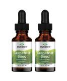 Swanson Grapefruit Seed Liquid Extract 1 fl oz - Natural Antioxidant & Immune Support - Buy Online on GoSupps.com