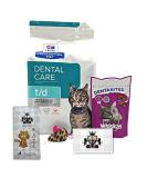 Support Cats Oral Health Bundle: AETN T/D 1.5kg Dental Food + Dentabites Toy + Chicken Treat - Buy Online on GoSupps.com