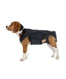 Dog Back Bandage for Arthritis IVDD & Surgical Recovery | Support for Herniated Discs & Spine Health - Buy Online on GoSupps.com