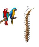 Parrot Food Fruits Basket Stainless Steel Feeding Bird Cage Device Parrot Feeder Food Fruits Basket Millet Sprays for Birds Fruit Vegetable Holder Bird Foraging Toy For Parakeet Cockatiel Conure - Buy Online on GoSupps.com