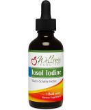 Wellness Resources Iosol Iodine Liquid - 1 Oz | Water Soluble Formula - Buy Online on GoSupps.com