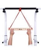TWO STONES Portable Fingerboard for Rock Climbing Training - Indoor and Outdoor Climbing Hangboard with Edges and Pockets (CJ-HB2026) - Buy Online on GoSupps.com