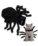 Spooky Cat & Dog Halloween Costumes - Zoneyan Bat Wings Spider Wings & More! - Buy Online on GoSupps.com
