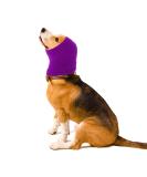 CoBee Soothing Earmuffs for Dogs | Noise Protection Ear Flap Head Wrap - XL Violet | Comfort & Care for Bathing - Buy Online on GoSupps.com