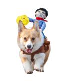 NACOCO Cowboy Rider Dog Costume with Doll and Hat for Halloween - Small - Buy Online on GoSupps.com