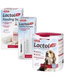 500g Beaphar Lactol Milk with bottle & Teats 2 x feeding syringes puppy dog whelping kit supplies - Buy Online on GoSupps.com