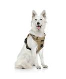 Funfox No Pull Dog Harness for Large Dogs - Adjustable Anti-Train Safety Harness | Breathable XL Brown Chest Harness - Buy Online on GoSupps.com