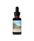 Buy WISHGARDEN Kick It Allergy Kids - Natural Allergy Relief for Children | 1 FZ - Fast International Shipping - Buy Online on GoSupps.com