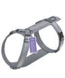STUCH Adjustable Dog Harness - Padded Nylon for All Sizes - Gray Large - Perfect for Small Medium & Large Dogs - Buy Online on GoSupps.com