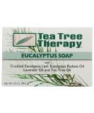Buy Tea Tree Therapy Eucalyptus Soap 3.5 oz Bar - 2pc | Best International Shipping - Buy Online on GoSupps.com