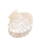 Shell Jaw Clip Hair Claw Clip Clamps Resin Hair Clips Marble Pattern Hairpins Hair Accessories for women Styling Hairdressing (White) - Buy Online on GoSupps.com