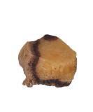 Septarian Raw Crystals Large 1.25-2.0 | Healing & Natural Rough Stones for Tumbling, Cabbing, Decoration | Wicca, Reiki & Polishing - Buy Online on GoSupps.com