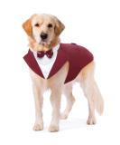 Kuoser Dog Tuxedo Suit & Bandana Set for Large Dogs | Formal Wedding Attire with Bow Tie | Dark Red | L 16.5 Back, 20.9-25.6 Chest | Golden Retriever, Samo Bulldogs - Buy Online on GoSupps.com