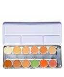 Dermacolor Camouflage Palette - 12 Color C Palette for Flawless Coverage | International Shipping - Buy Online on GoSupps.com