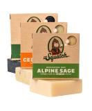 Dr. Squatch Menâ€™s Natural Bar Soap Variety Pack - Pine Tar, Cedar, Citrus & Alpine Sage (3 Bars) - Buy Online on GoSupps.com