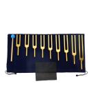 Dreld 9 Solfeggio Tuning Forks Kit - Healing Forks with Silicone Hammer and Bag for DNA Repair - Golden - Sound Therapy Musical Instrument - Buy Online on GoSupps.com