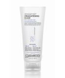 GIOVANNI Eco Chic Straight Fast Straightening Elixir 6.8 oz - Pack of 2 | Heat Protection, Smooths & Straightens Hair, Color Safe - No Parabens - Buy Online on GoSupps.com