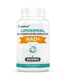 Liposomal NAD+ 500 mg Supplement, High Absorption, Boost NAD+ with TMG 250 mg, Actual NAD More Efficient Than NMN, Nicotinamide Riboside Alternative for Cellular Energy, Healthy Aging | 60 Softgels 60 Count (Pack of 1) - Buy Online on GoSupps.com