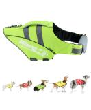 Zooland Dog Life Jacket - Adjustable Durable Reflective Lifesaver for Small Medium & Large Dogs | Excellent Buoyancy | Green - Buy Online on GoSupps.com