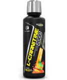 Forzagen L-Carnitine 2000 - Liquid L-Carnitine with Vitamin B6 | Acetyl L-Carnitine | 30 Servings Sour Fruit Punch - Boost Energy & Metabolism - Buy Online on GoSupps.com